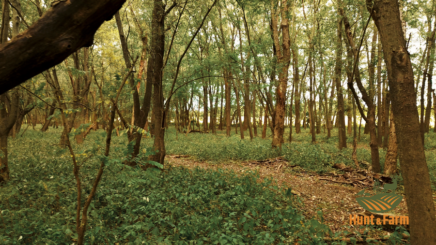 Still 2025-10-28 135545_1.13.1.png